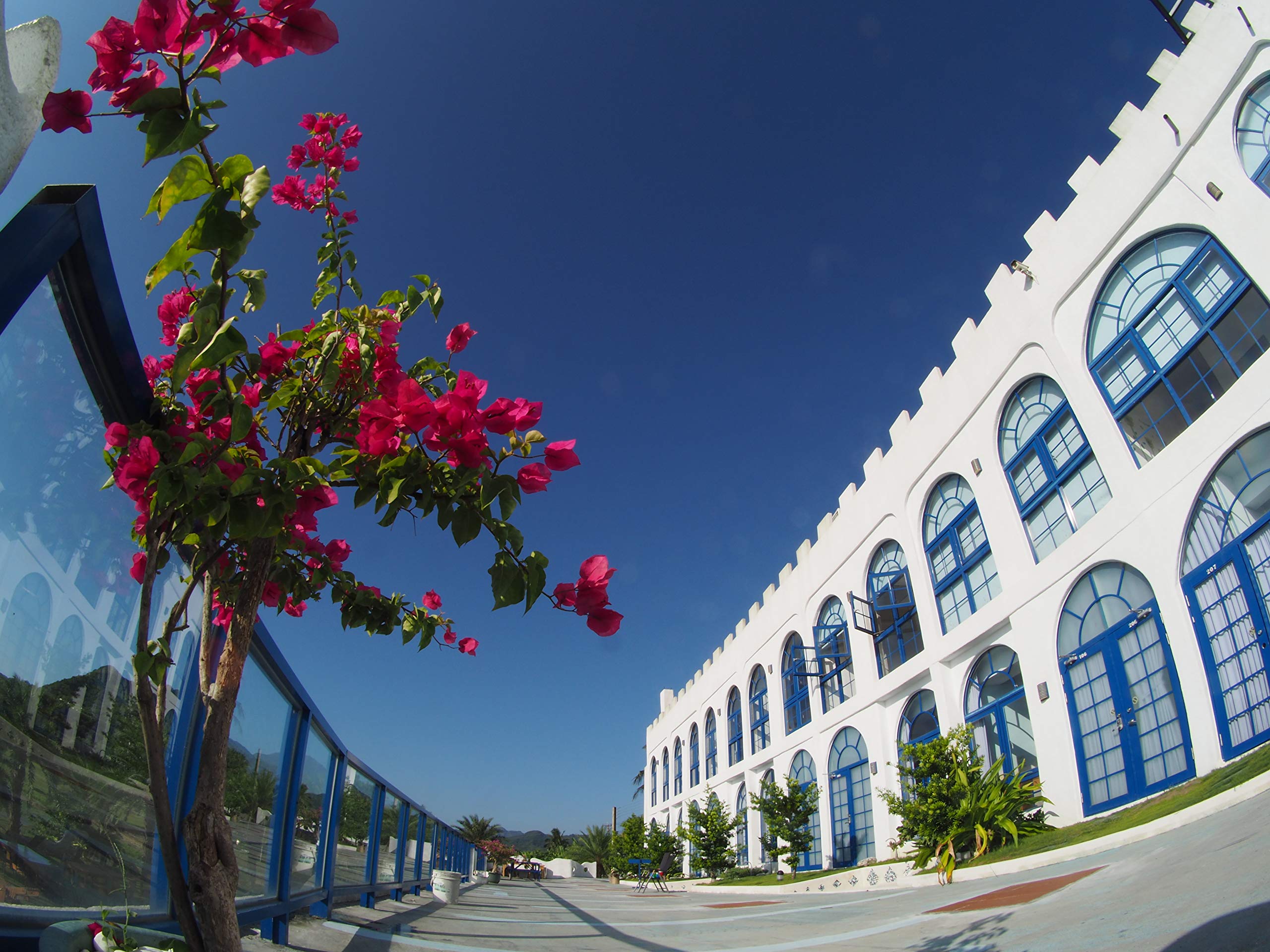 Amazon.co.jp: 【国内正規品】 KAMLAN 交換レンズ 単焦点魚眼レンズ